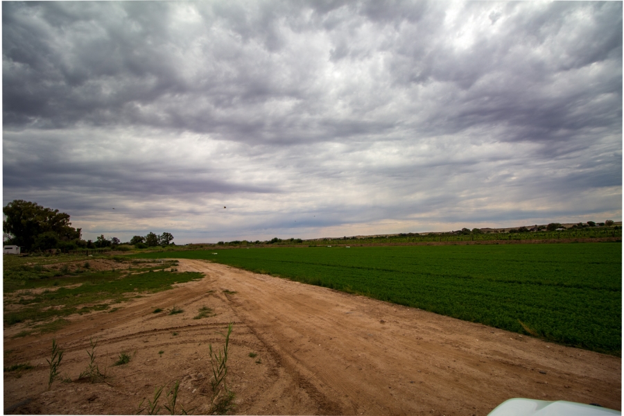 5 Bedroom Property for Sale in Louisvale Northern Cape